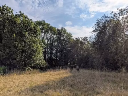 vente terrain 1700 m² à haussy (59294)  74 000 €