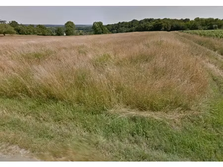 vente terrain 968 m² à mosnes (37530)  62 000 €