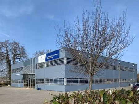 vente local d'activités auterive 31190