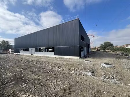 vente local d'activités portet sur garonne 31120