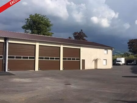 vastes dépendances avec habitations idéale pour artisan