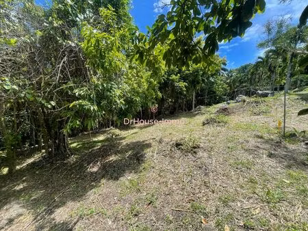 terrain 887m2 dans la foret  en exclusivité !