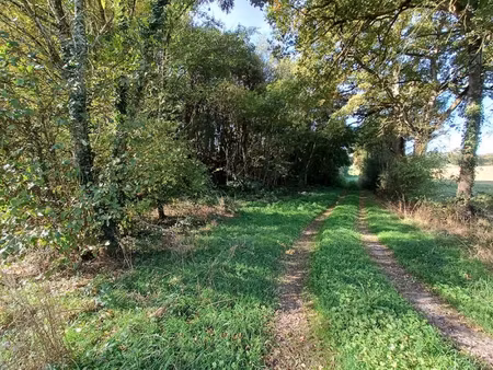 terrain sion les mines 11 040 m2