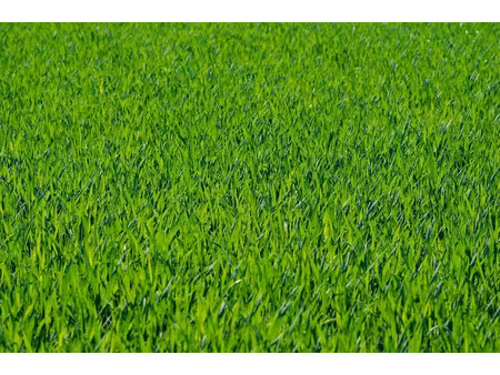 vente terrain 324 m² à mieussy (74440)  83 600 €