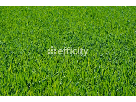 vente terrain 479 m² à mieussy (74440)  83 600 €