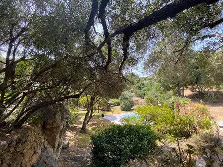 vente terrain à batir 1623 m² à calvi (20260)  600 000 €