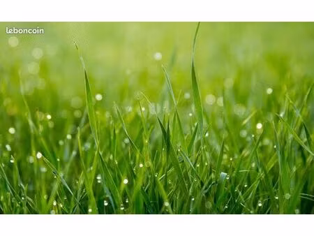 montalivet – terrain 786m² – zone uc – direct propriétaire