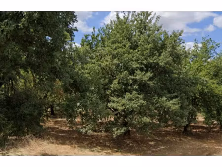 vente terrain 651 m² à margès (26260)  89 500 €