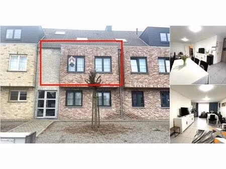 appartement à louer à ringlaan 95 zandhoven (rbv12414)