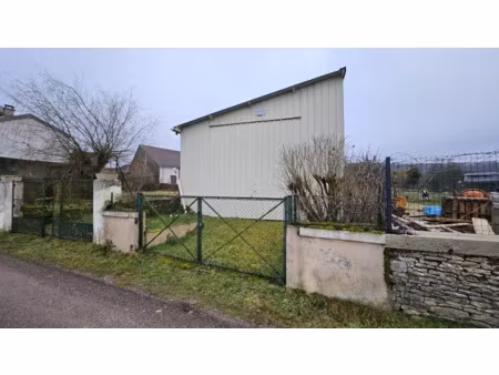 vente locaux professionnels 80 m² à andelot-blancheville (52700)  20 000 €