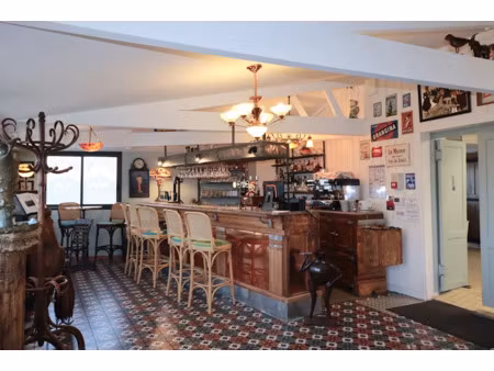 vente locaux professionnels 169 m² à talmont-sur-gironde (17120)  98 000 €