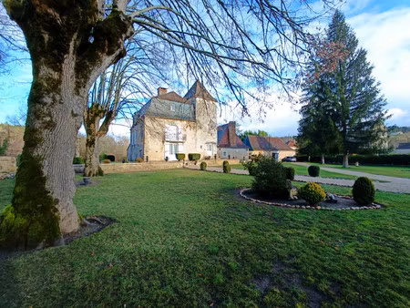 chateau à vendre à saint-crépin-d'auberoche (24330) - dordogne