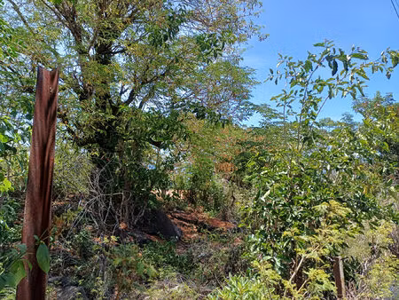 vente d'une grande parcelle de terrain à bâtir à crève coeur