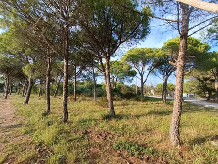 vente terrain 622 m² à puget-sur-argens (83480)  250 000 €