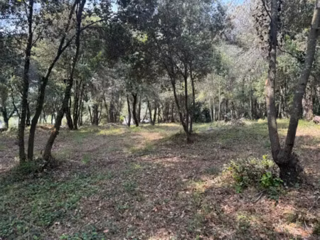 vente terrain 1317 m² à biot (06410)  470 000 €