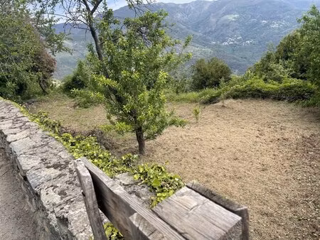 parcelle 443 m² constructible campile