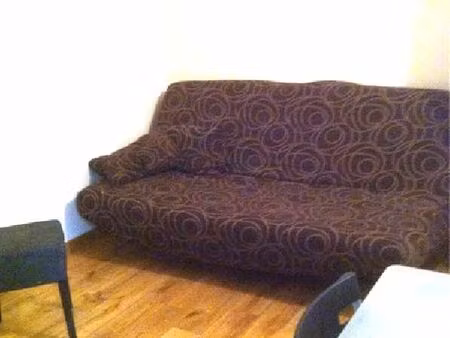 location appartement 1 pièce 16 m² à villeurbanne (69100)