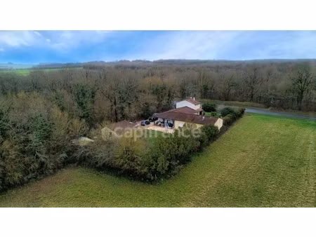 belle maison familiale avec une autre maison individuelle