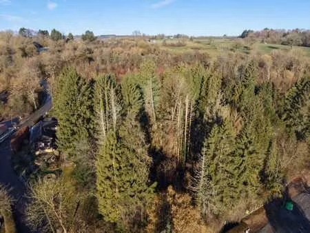 terrain en zone de loisirs - tier de rinze  6941 - tohogne