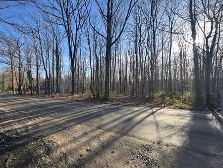 ? terrain d’exception dans un domaine boisé ?