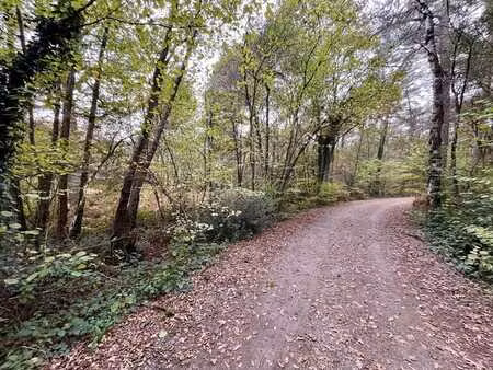 terrain forestier idéalement situé à zoerselbos