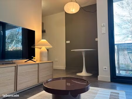 grand studio meublé – hôpitaux-facultés - terrasse et parking