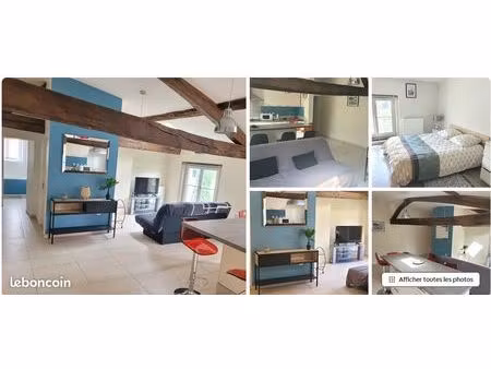 appartement t3 meuble castres