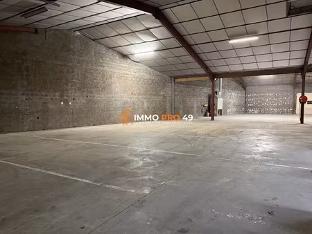 location locaux professionnels 0 pièces 500 m² à cholet (49300)  1 000 €
