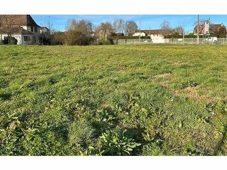 terrain orthez m² t- à vendre  650 000 €