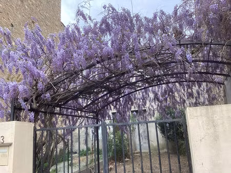 maison vigneronne jardin et remise durban corbieres