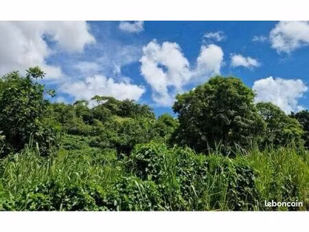 terrain gros cap/ petit canal