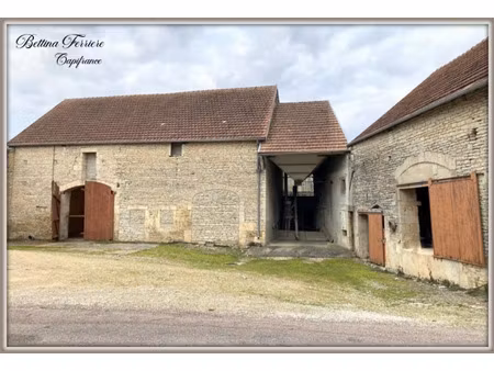 local professionnel à vendre lucenay le duc 5 pièce(s) 254m2 46 000€