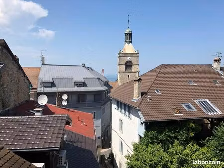 evian centre  charmant f2 meublé de 48m2