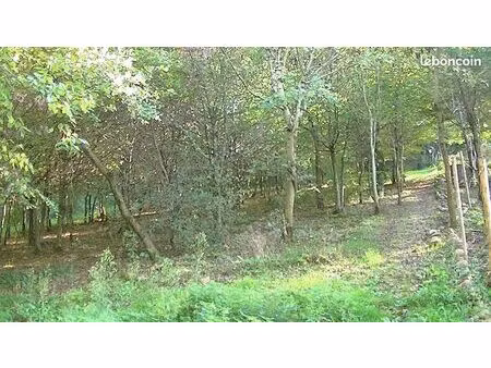 loue jardin-forêt 65 ares