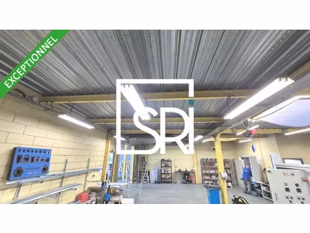 entrepot - local d'activite a vendre