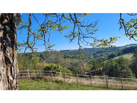 belle vue et calme! plazac- vallée vézère - maison en pierre crépie à l'ancienne avec 2 pa