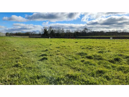 terrain viabilisé de 946 m² à vendre à maillé