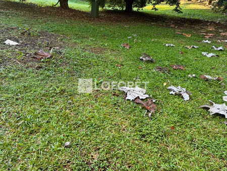 terrain constructible de 1 300 m² à vendre  le lamentin ld boyer