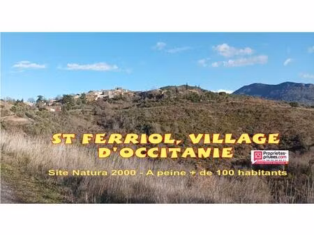 maison saint ferriol 7 pièce(s) 136 m2