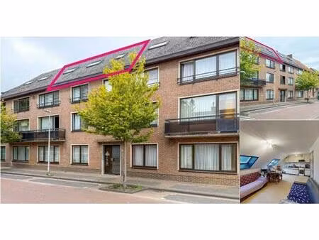 penthouse à vendre à kleuterweg 34 heusden-zolder (rbv12358)
