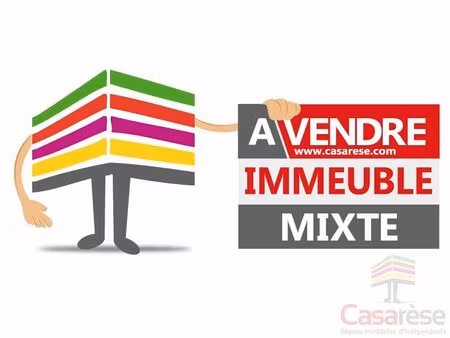 vente immeuble 522 m² la chapelle-saint-mesmin (45380)