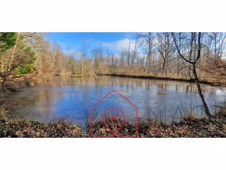 vente terrain 129230 m² nouan-le-fuzelier (41600)