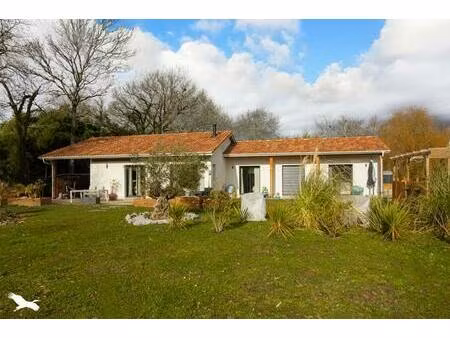 vente maison 5 pièces 130 m² clermont (40180)