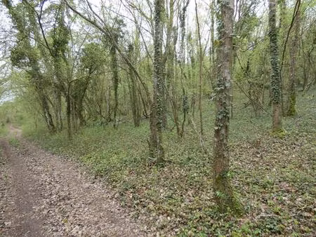 parcelles de bois 8257 m²