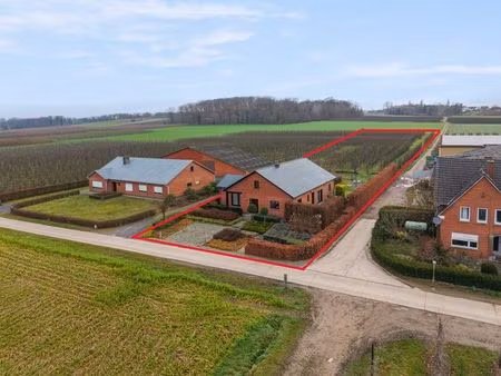 ruime gelijkvloerse gezinswoning op een uitzonderlijk perceel in kortenaken