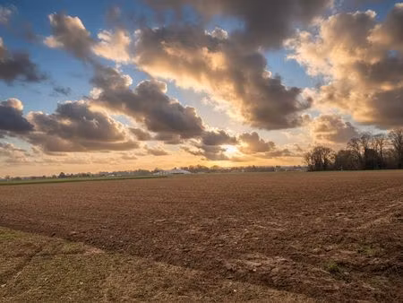 landbouwgrond te koop!!