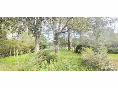 terrain 1 000 m² lecci