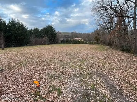 terrain à bâtir – non viabilisé - bessieres