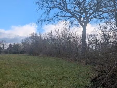 sallertaine  terrain constructible de 1100 m²