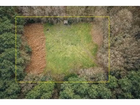 prachtig weiland in bosgebied te halle-zoersel.